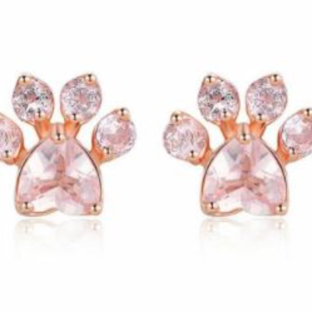 4 Legged 🐶🐱Family Member Rose Gold Studs - NWOT